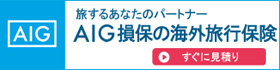AIG 海外旅行保険