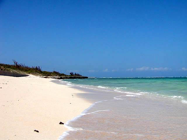 粟国島 海 粟国島 海