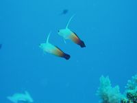 海の中