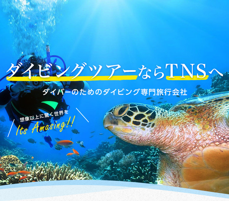 ダイビングツアーならTNSへ ダイバーのためのダイビング専門旅行会社 想像以上に驚く世界を Its Amasing!!