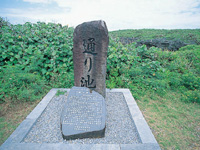 通り池