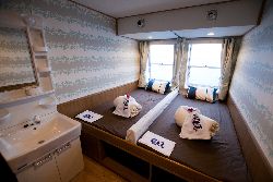 クルーズ情報
