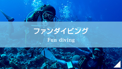 ファンダイビング Fun diving