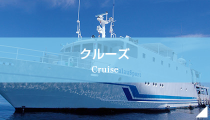 クルーズ Cruise