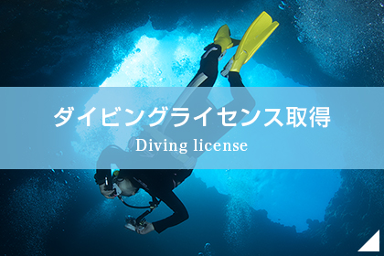 ダイビングライセンス取得 Diving license