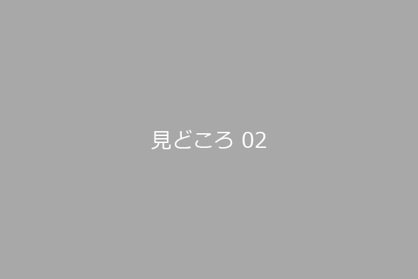 見どころ