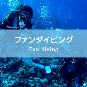 ファンダイビング Fun diving
