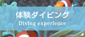 体験ダイビング Diving experience
