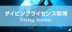 ダイビングライセンス取得 Diving license