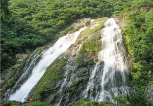 トレッキング　屋久島